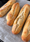 Sourdough Criollo Bread