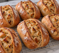 Roasted Garlic Sourdough Bread